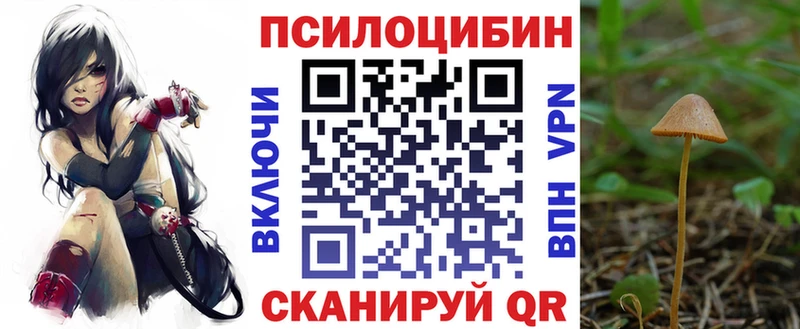 Галлюциногенные грибы мицелий  Арсеньев 