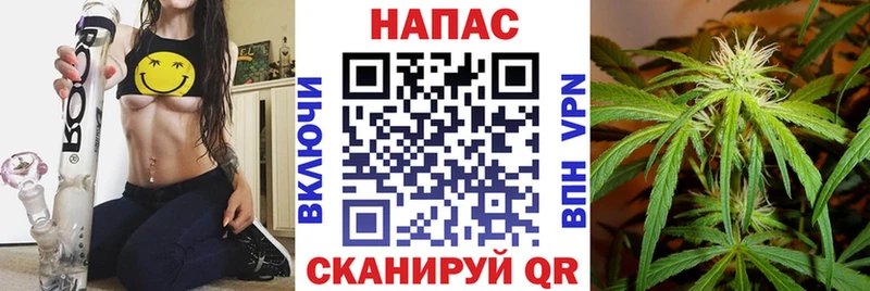Канабис гибрид  Арсеньев 